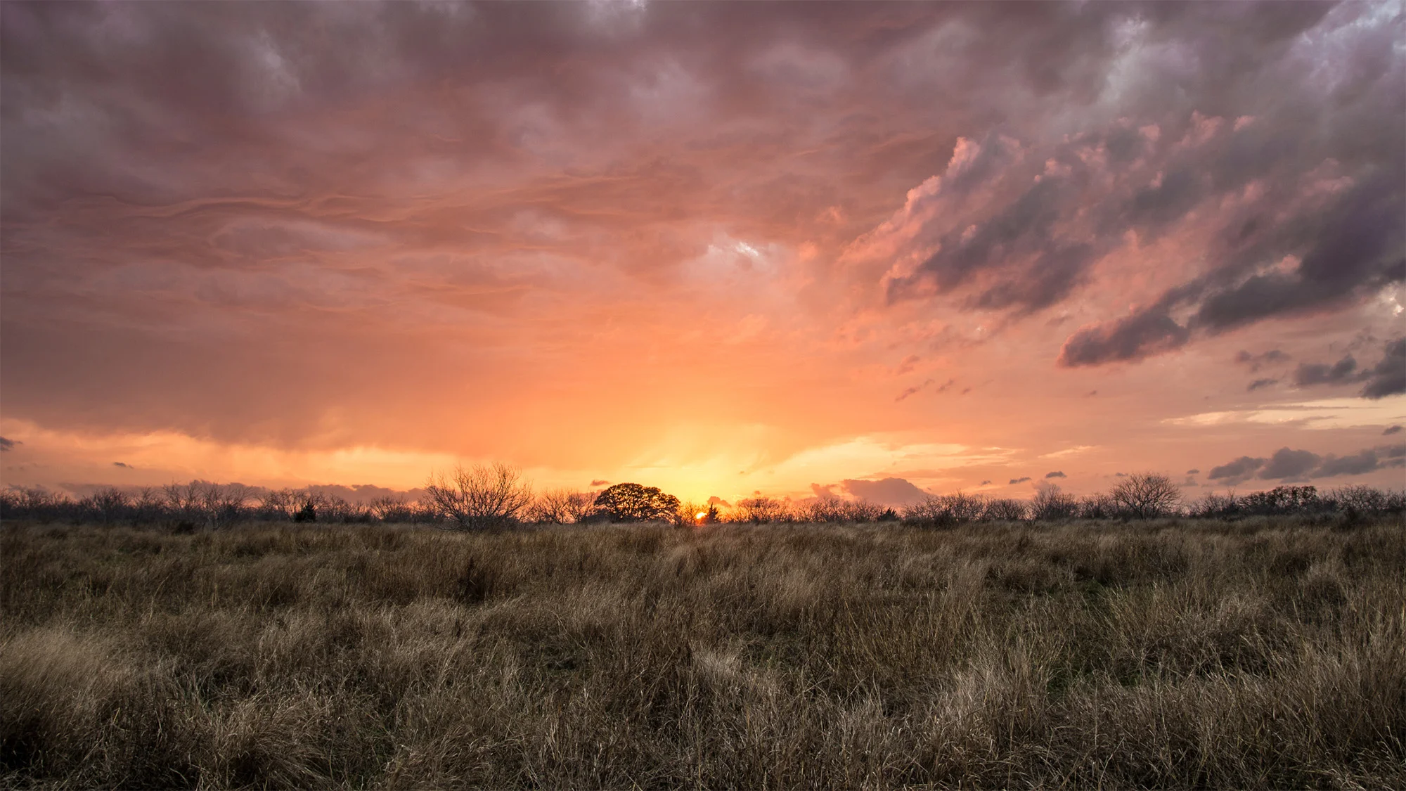 Nurse Injector Training Courses in Texas a Cosmetic Injector Moxie